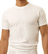 Hanes 2-Pack Classics Tall Man Crew Neck T-Shirt
