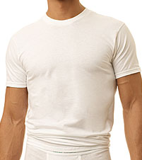 Hanes 2-Pack Classics Tall Man Crew Neck T-Shirt